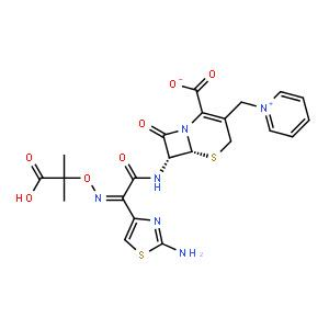 頭孢他啶