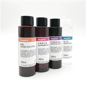 革兰氏染色液,Gramˊs Stain Kit