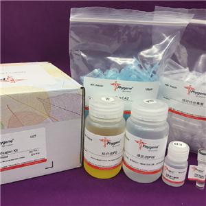 PCR产物纯化试剂盒,PCR Purification Kit