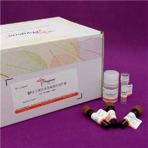 PCR产物纯化试剂盒,PCR Purification Kit