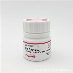 胰蛋白酶1:250,Trypsin 1:250