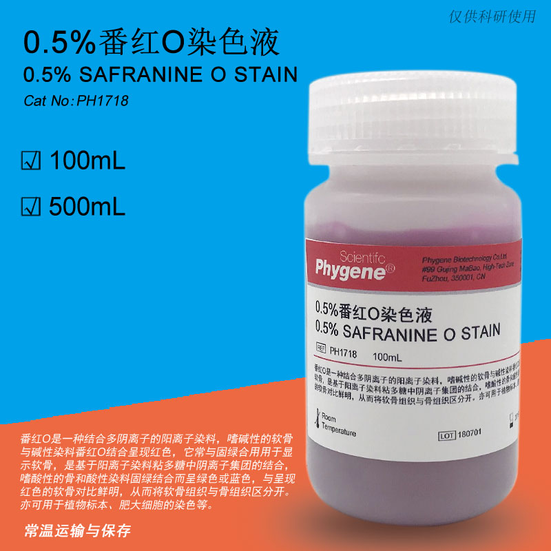 0.5%番红O染色液,Safranine