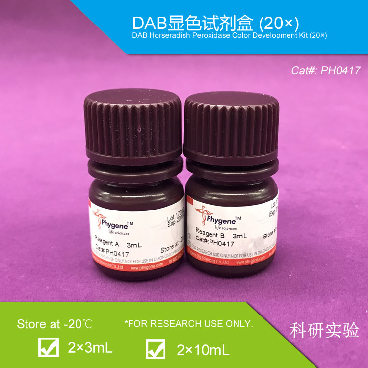 DAB顯色試劑盒(20×),DAB Horseradish Peroxidase Color Development Kit