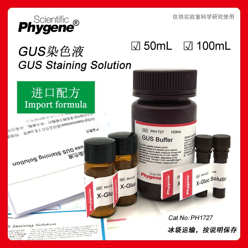 即用型GUS染色液,GUS(β-Galactosidase)