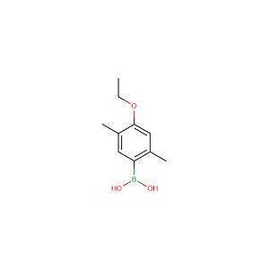 2.5-二甲基-4-乙氧基苯硼酸