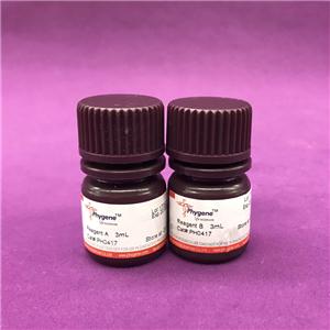 DAB顯色試劑盒(20×),DAB Horseradish Peroxidase Color Development Kit