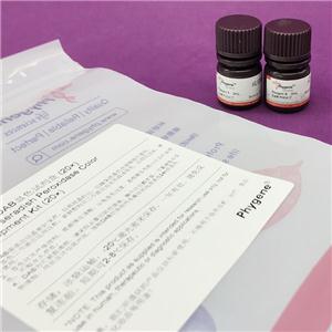 DAB顯色試劑盒(20×),DAB Horseradish Peroxidase Color Development Kit