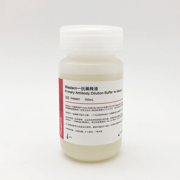 Western一抗稀釋液,Primary Antibody Dilution Buffer