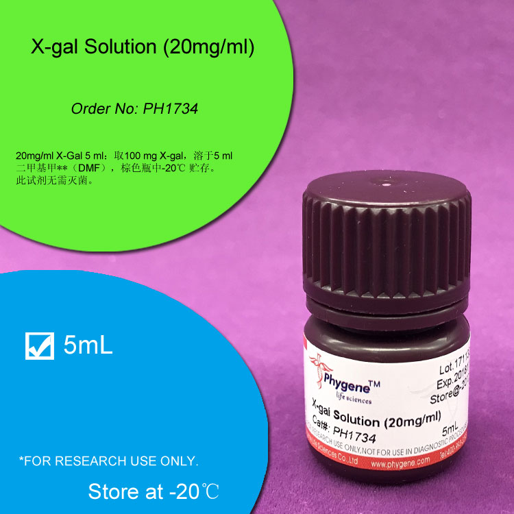 X-gal溶液 (20mg/ml),X-gal Solution