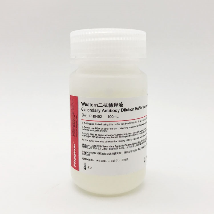 Western二抗稀釋液,Secondary Antibody Dilution Buffer