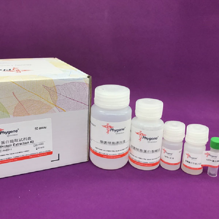 细菌细胞总蛋白提取试剂盒,Bacterial Cell Protein Extraction Kit