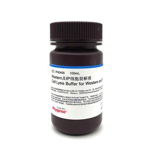 Western及IP细胞裂解液,Cell Lysis Buffer for Western and IP