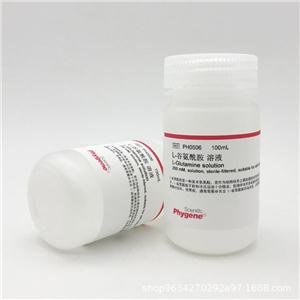 Western二抗稀釋液,Secondary Antibody Dilution Buffer