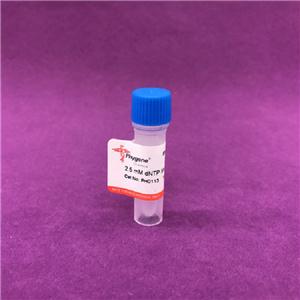 PCR反应试剂盒(2000bp),PCR Reaction Kit (2000bp)