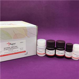 酵母细胞总蛋白提取试剂盒,Yeast Proein Extraction Kit
