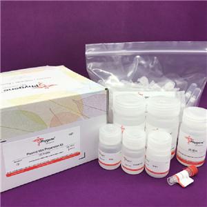 质粒小量提取试剂盒,Plasmid Mini Preparation Kit