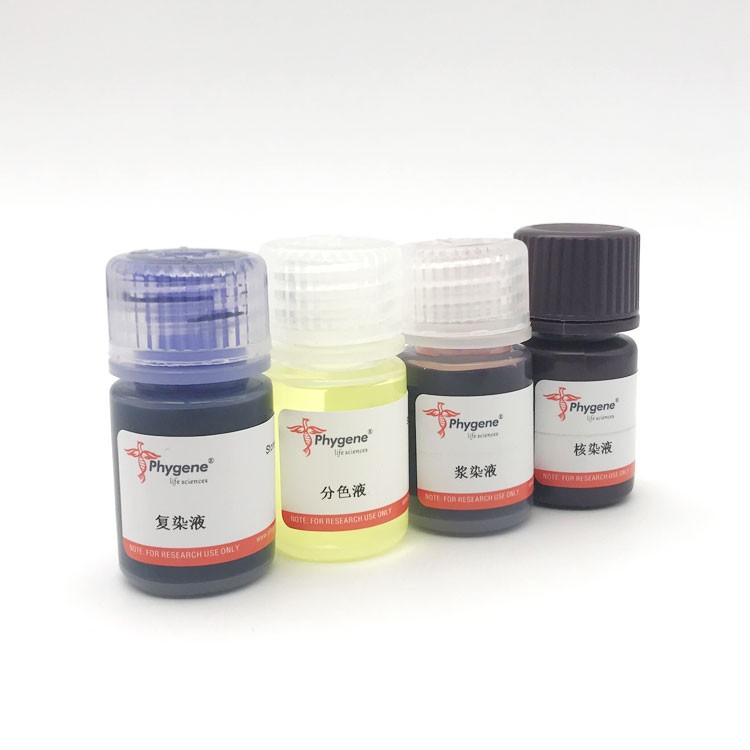 马松染色试剂盒,PhyEasy? Masson Staining Kit