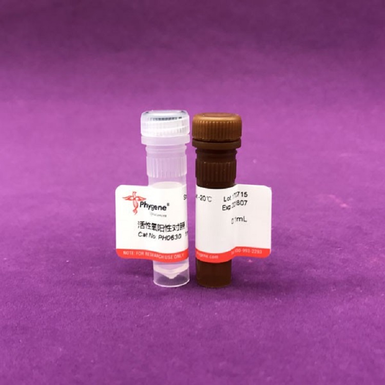 活性氧检测试剂盒,ROS Assay Kit
