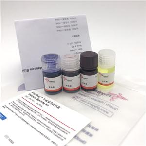 马松染色试剂盒,PhyEasy? Masson Staining Kit