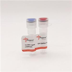 RNAlong保存液,RNA Preservation Solution