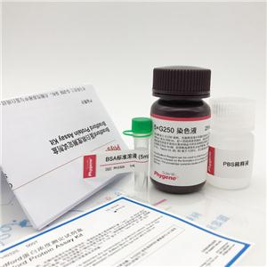 蛋白浓度测定试剂盒