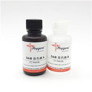 DAB辣根过氧化物酶显色试剂盒,DAB Horseradish Peroxidase Color Development Kit