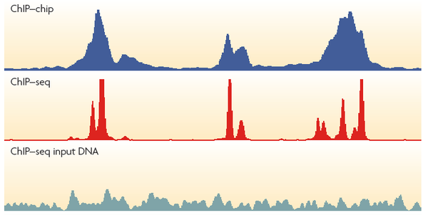 ChIP-Seq