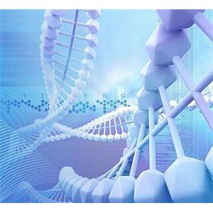 2× Robust SYBR Green qPCR ProMix With Low RO