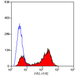 CD45R antibody [RA3-6B2]