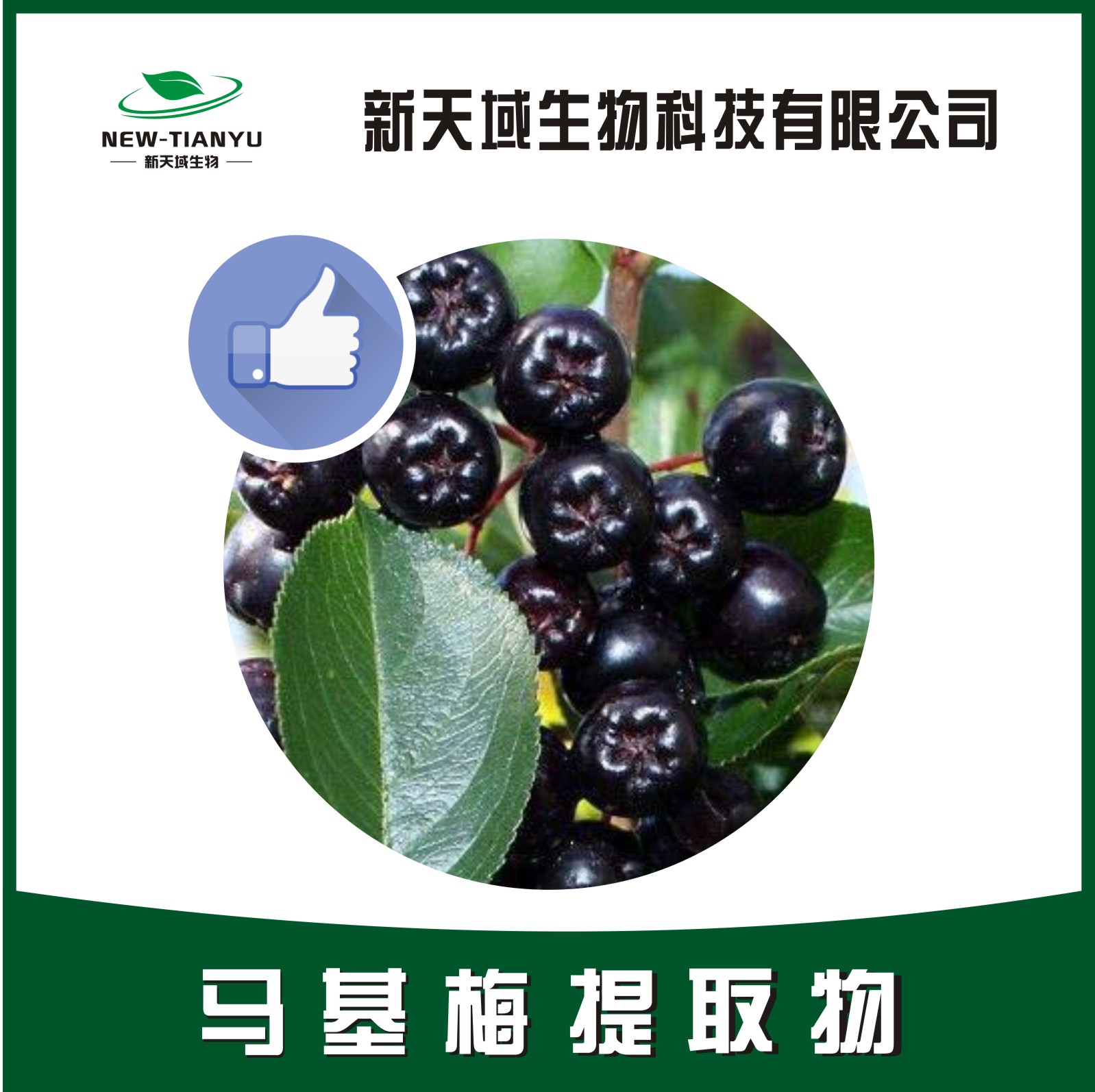 马基莓提取物,Maquiberry extract