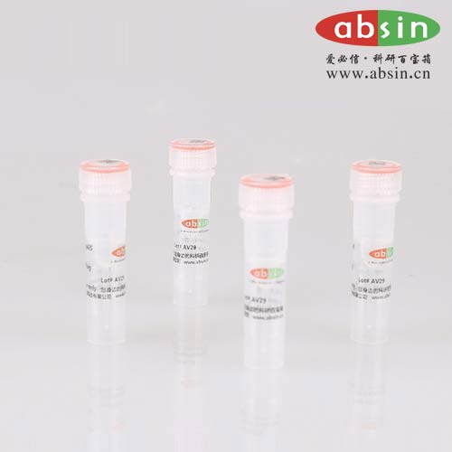 Anti- HA 抗體,Mouse Anti- HA Monoclonal antibody