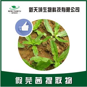 假芫茜提取物,Foetid Eryngo Herb。