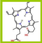 原卟啉,Protoporphyrin IX