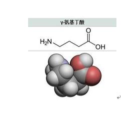 氨基丁酸别名图片