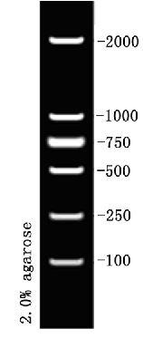 D2000 DNA Ladder