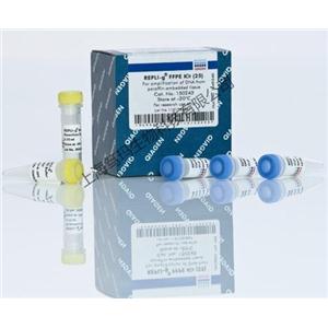 EpiTect PCR Control DNA Set (100)
