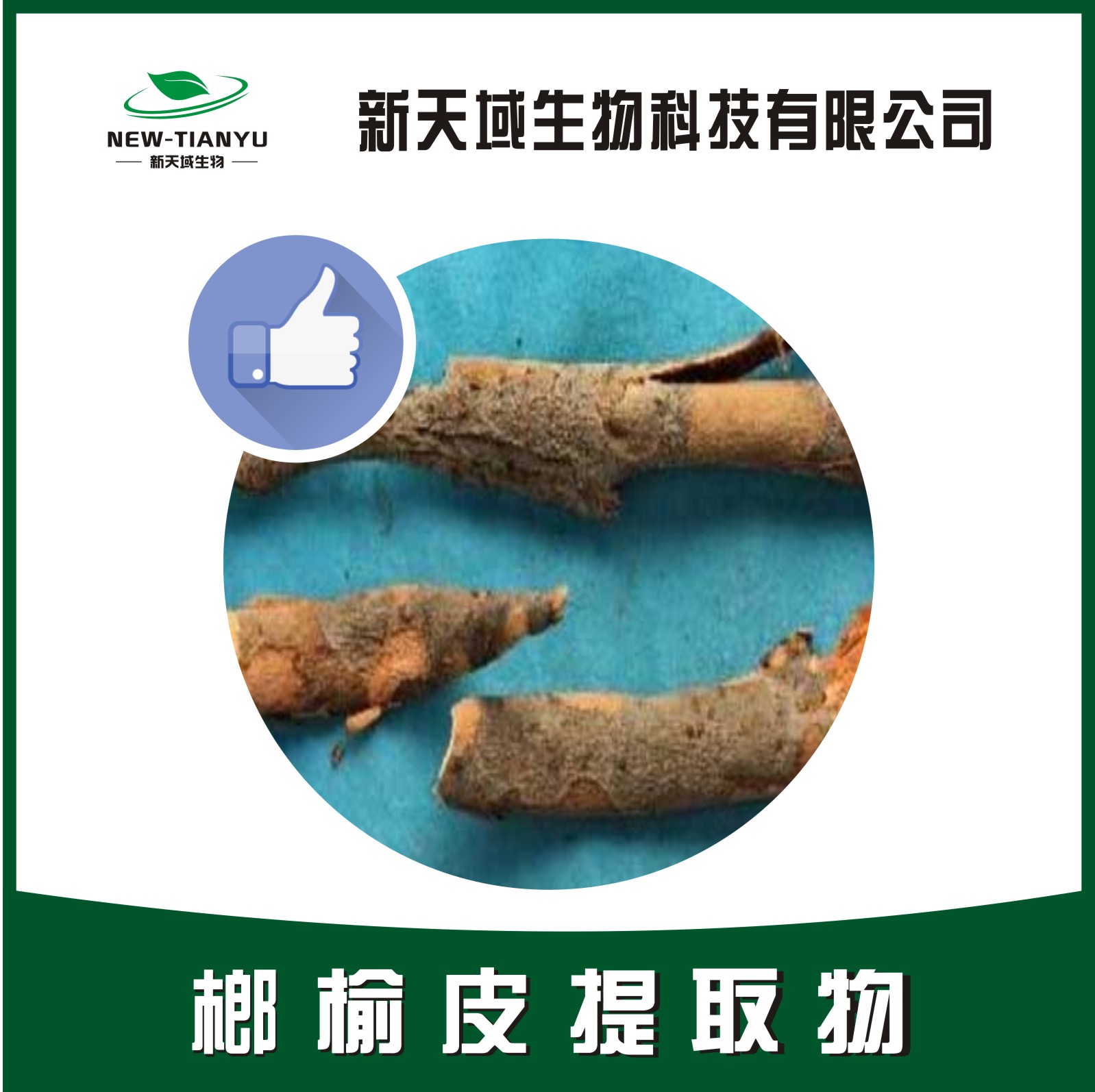 榔榆皮提取物,Chinese Elm Bark。