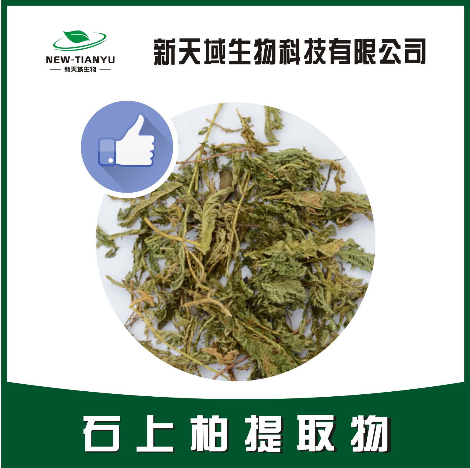 石上柏提取物,Herba Selaginellae Doederleinii。