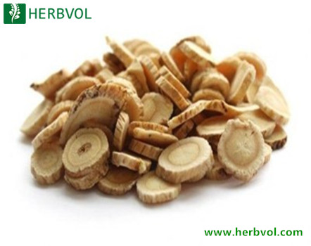 Astragalus Root Extract