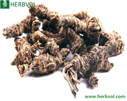 Valerian Extract