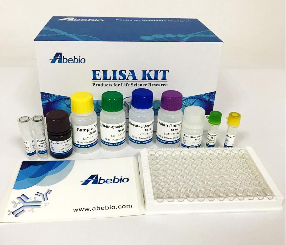 Human Meiotic recombination protein SPO11 (SPO11) ELISA Kit