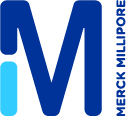 ANTI-MMP-2 (AB-8) MOUSE MAB (VB3)