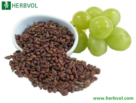 Grape Seed Extract