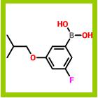 3-氟-5-异丁氧基苯硼酸,3-FLUORO-5-(ISOBUTOXY)BENZENEBORONIC ACID