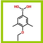 3,5-二甲基-4-乙氧基苯硼酸,3,5-DIMETHYL-4-ETHOXYPHENYLBORONIC ACID