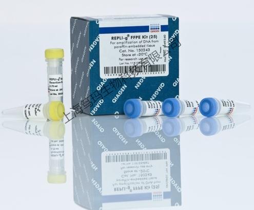 artus EBV TM PCR Kit (24) RUO