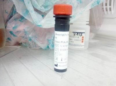 Estrogen Related Receptor gamma peptide (401-413 )