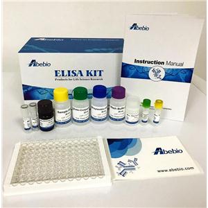 Human DnaJ homolog subfamily C member 13 (DNAJC13) ELISA Kit