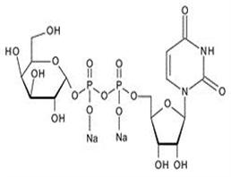 UDP-半乳二钠盐,UDP-a-D-galactose disodium salt