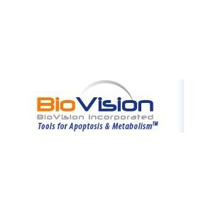 Phospho-ATF-2 Antibody